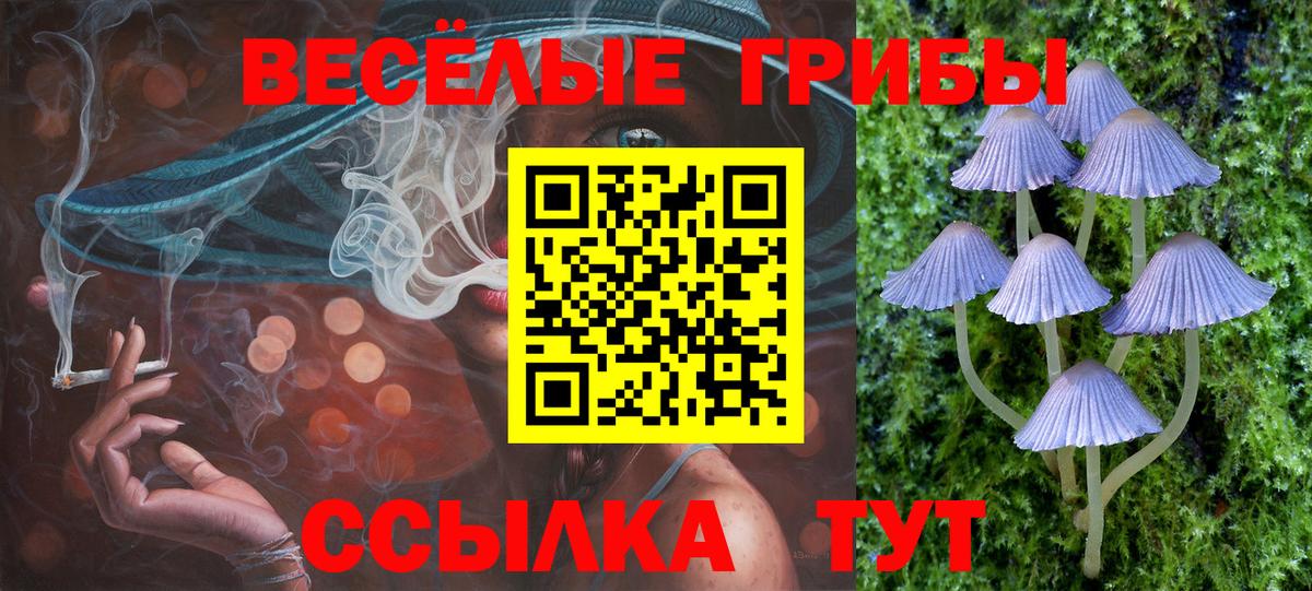 купить   Вход с VPN  Спасск-Дальний  Псилоцибиновые грибы GOLDEN TEACHER  Галлюциногенные грибы GOLDEN TEACHER 