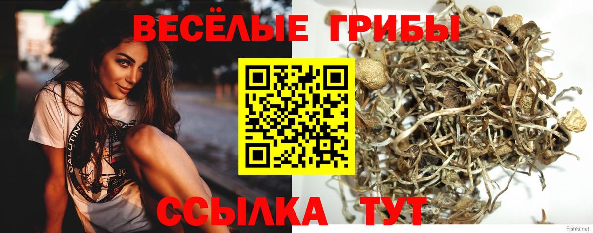 Галлюциногенные грибы ЛСД Спасск-Дальний